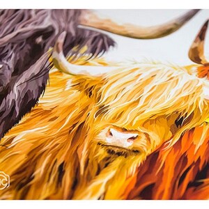 highland cow picture painting