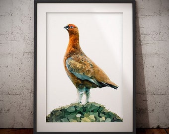 Grouse Print - Red Grouse Painting - UK Prints - Scottish Wildlife art - Game Bird - Famous Grouse Print - Grouse Painting - Whisky Print