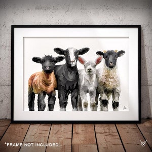 Four Lambs Painting - Lambs art print - Lambs painting - Zwartbles - Blackface - Suffolk - Texel- Sheep Print - Sheep Gift - Wool gift