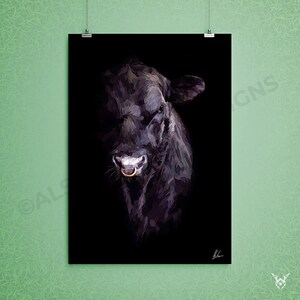 May include: A close-up portrait of a black bull with a gold nose ring. The bull's face is in focus, and the background is dark.