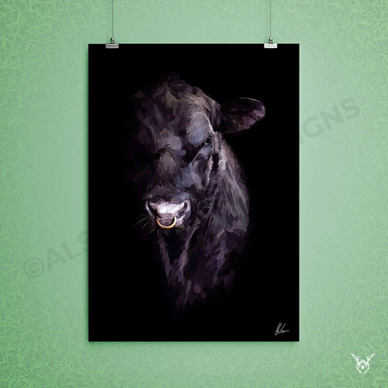 May include: A close-up portrait of a black bull with a gold nose ring. The bull's face is in focus, and the background is dark.