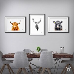 May include: Three framed black and white animal illustrations hanging on a white wall above a wooden dining table with gray chairs. The illustrations feature a Highland cow, a stag, and a Highland cow.