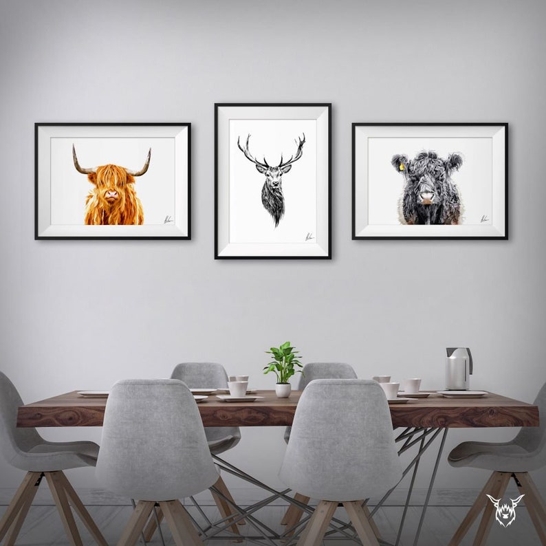 May include: Three framed black and white animal illustrations hanging on a white wall above a wooden dining table with gray chairs. The illustrations feature a Highland cow, a stag, and a Highland cow.