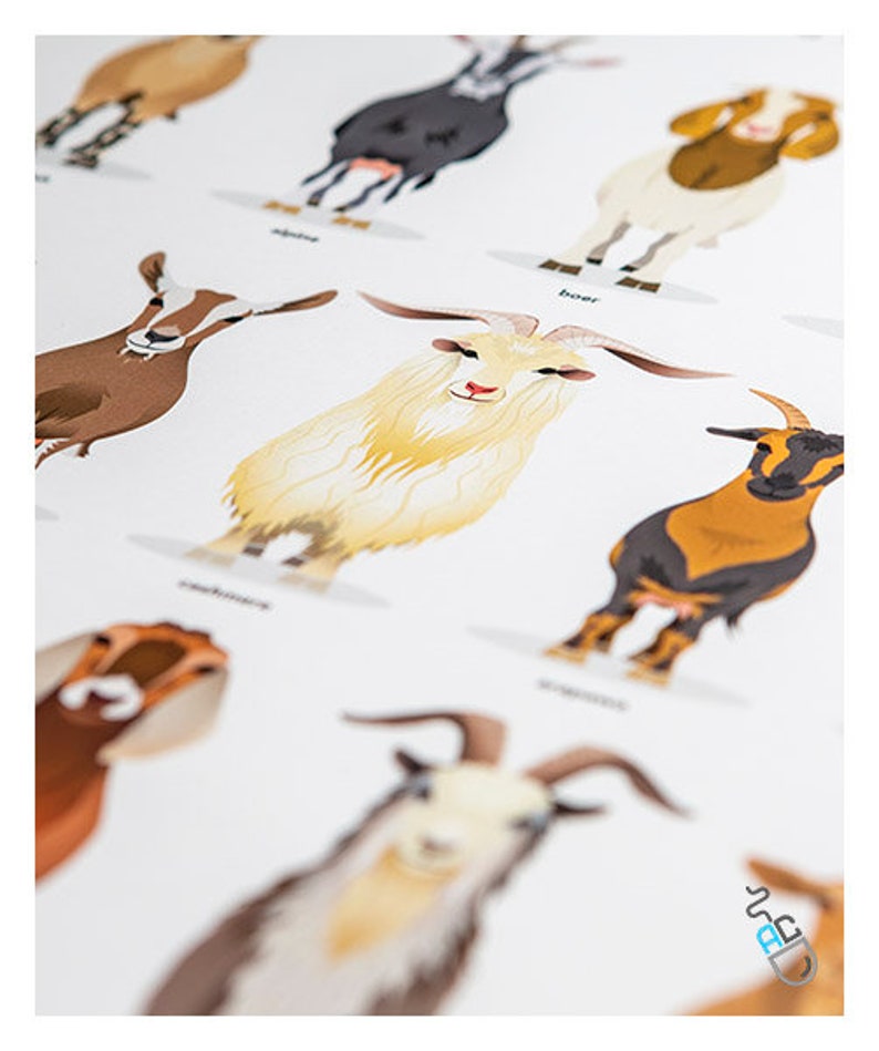 British Goat Breeds Print Goat Print Goat Breeds Poster - Etsy
