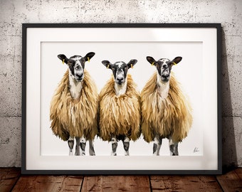 Scotch Mules Sheep Painting - Mules sheep art print - Trio Sheep Print - Wool Sheep Painting - Scottish British Mules Trio Sheep Art Print