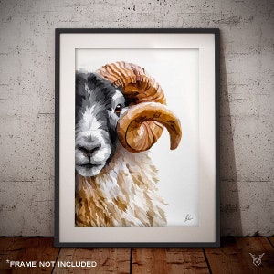 Widder Kopf Art Print - Schafbild - Schafbock - Blackface Schaf - Widderkopf - Schottisches Schaf Geschenk
