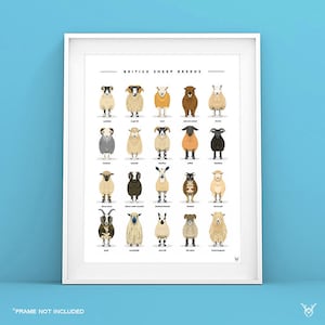 Britische Schafrassen Druck - Schaf Druck - Schaf Rassen Poster - Schaf Illustration - Schaf Poster - Schaf Kunstdruck - Schaf Kunst