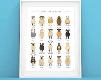 British Sheep Breeds Print - Sheep Print - Sheep Breeds poster - Sheep Illustration - Sheep Poster - Sheep Art Print - Sheep art
