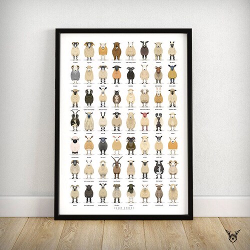 Sheep Breeds Print Ultimate Sheep Poster Sheep of the Etsy UK
