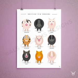 British Pig Breeds Print - Pig Print - Pig Breeds poster - Pig Art - Pig lover Gift - Pig Poster - Animal Prints - Animal Art - Vet gifts