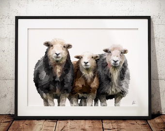 Obraz owiec Herdwick - wydruk artystyczny owiec Herdwick - Wydruk owiec - Obraz owiec Herdwick - Herdwicks - Owce - Wydruk artystyczny