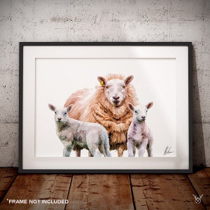 Sheep art print - Sheep Painting - Sheep Print - Texel - Cheviot - Texel Cheviot Sheep - Farm animal art - Ewe & Lamb Art Print - Sheep gift