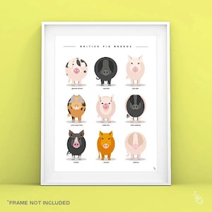 British Pig Breeds Print - Pig Print - Pig Breeds poster - Pig Art - Pig lover Gift - Pig Poster - Animal Prints - Animal Art - Vet gifts