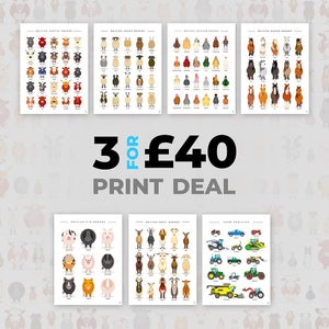 3for40**OFFER** - Farm Animal Prints - British Breeds - Animal Prints - Cow, Sheep, Pigs, Chickens, Horses, Tractors - Vet Gift
