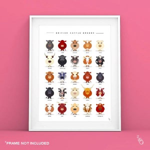 Cow Breeds Print - Cattle Breeds poster - British Cow Breeds - Cow Poster - Cattle Breeds Print - Farm Animals Wall Art - Cow Gift