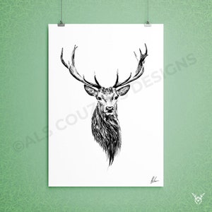 May include: Black and white illustration of a deer's head with large antlers. The deer is looking directly at the viewer.