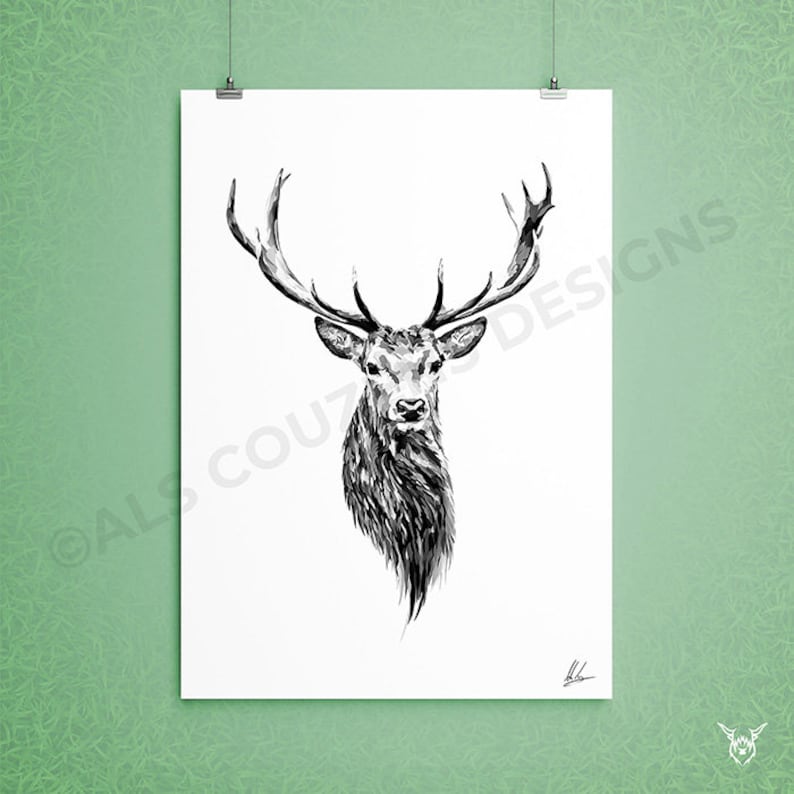 May include: Black and white illustration of a deer's head with large antlers. The deer is looking directly at the viewer.
