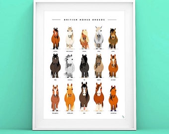 Horse Breeds Print - Horse types poster - Horse Print - Pony breeds print - Horse Lover gift - Horse poster - Pony Art print - Pony Poster