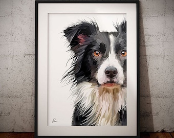 May include: A close-up portrait of a black and white border collie dog. The dog is looking directly at the viewer with a serious expression. The dog's fur is soft and fluffy, and its eyes are brown.
