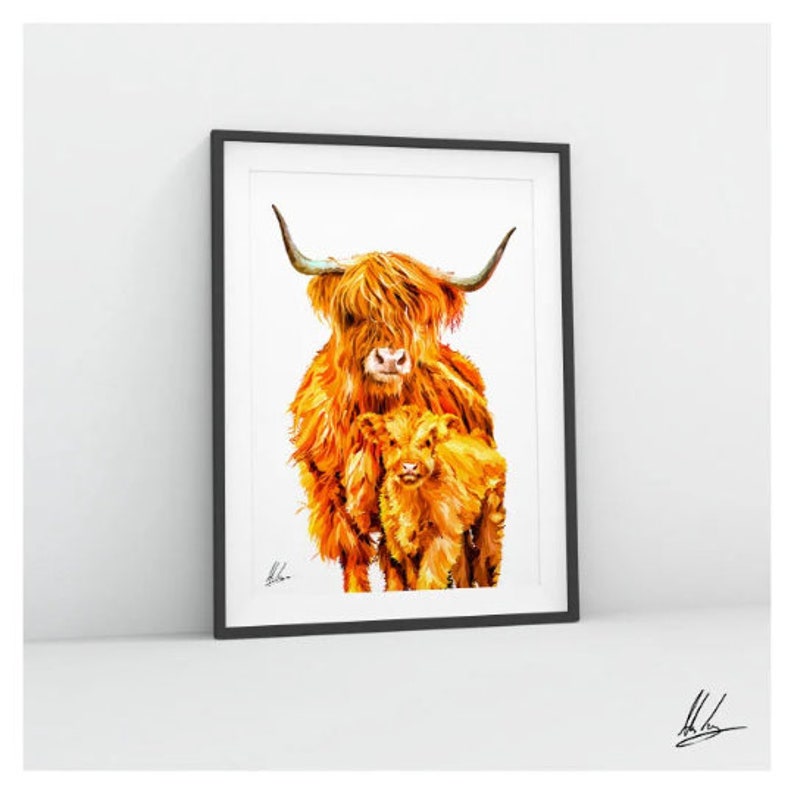 Highland cow picture