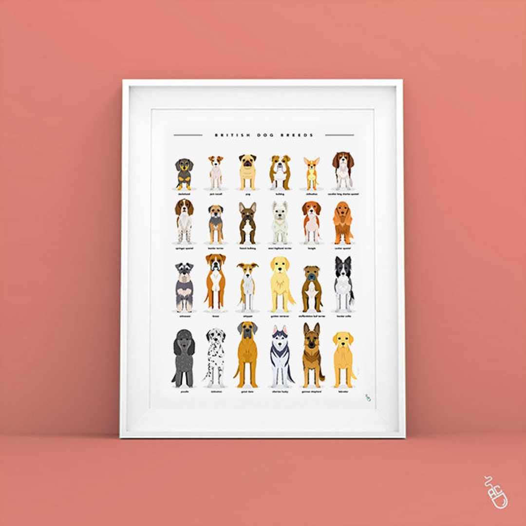 Dog Breeds Print Dog Types Print Dog Poster Dog Breeds - Etsy UK
