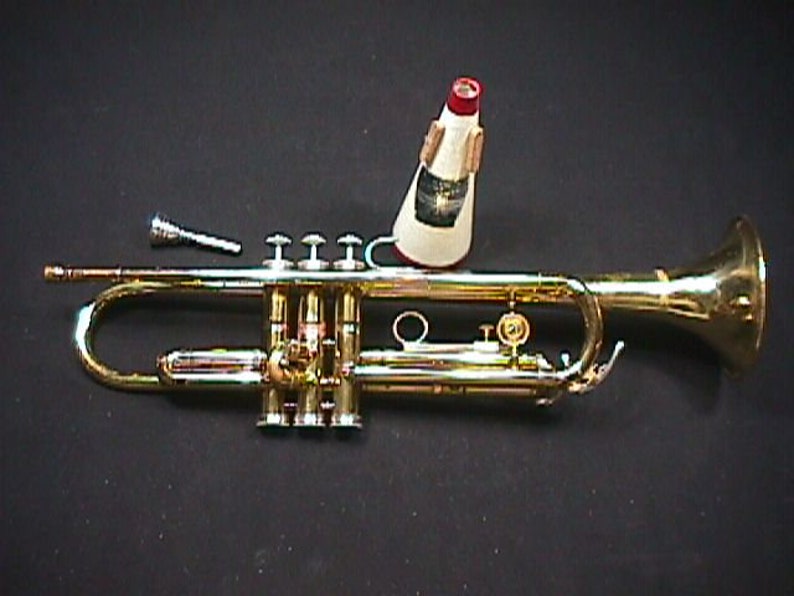 A Holton Collegiate Bb Trumpet with a Straight Mute in it's Original Case & Ready to Play 17 T image 2
