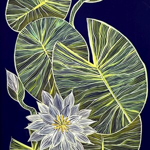 Graceful Water Lilies
