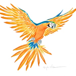 Colorful macaw parrot acrylic painting on paper