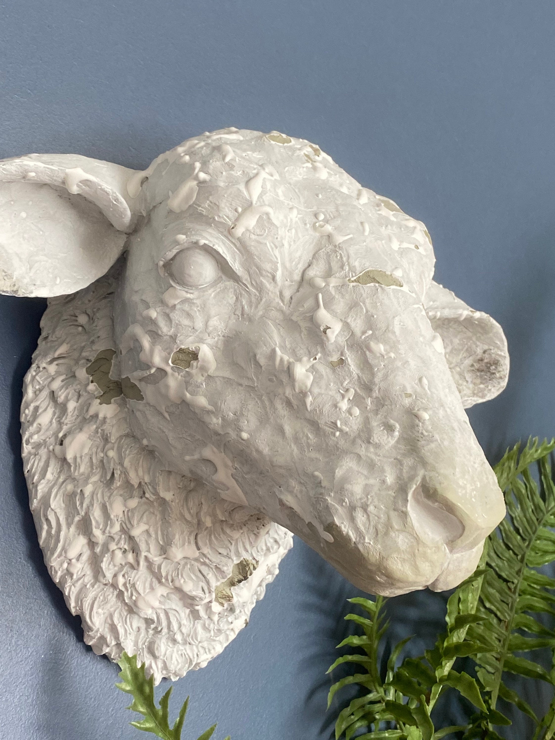 White Sheep Head Trophy Distressed Stone Sheep Head Wall Etsy