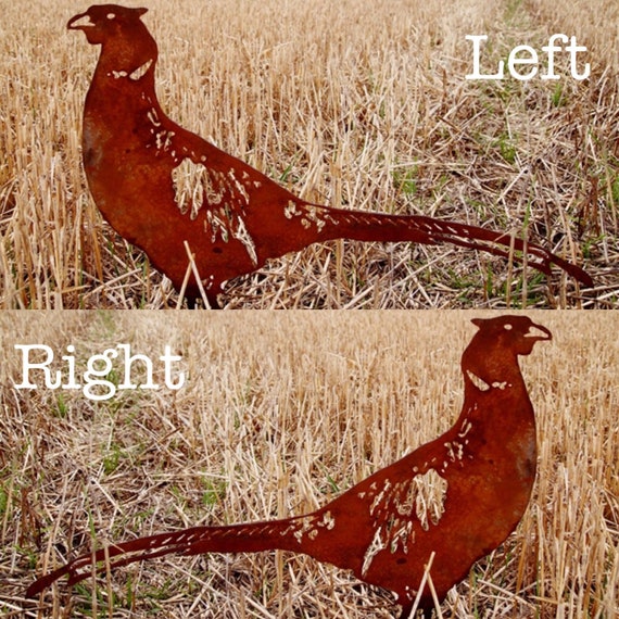 21 Rusty Metal Vintage Style Garden Pheasant Bird Ornament