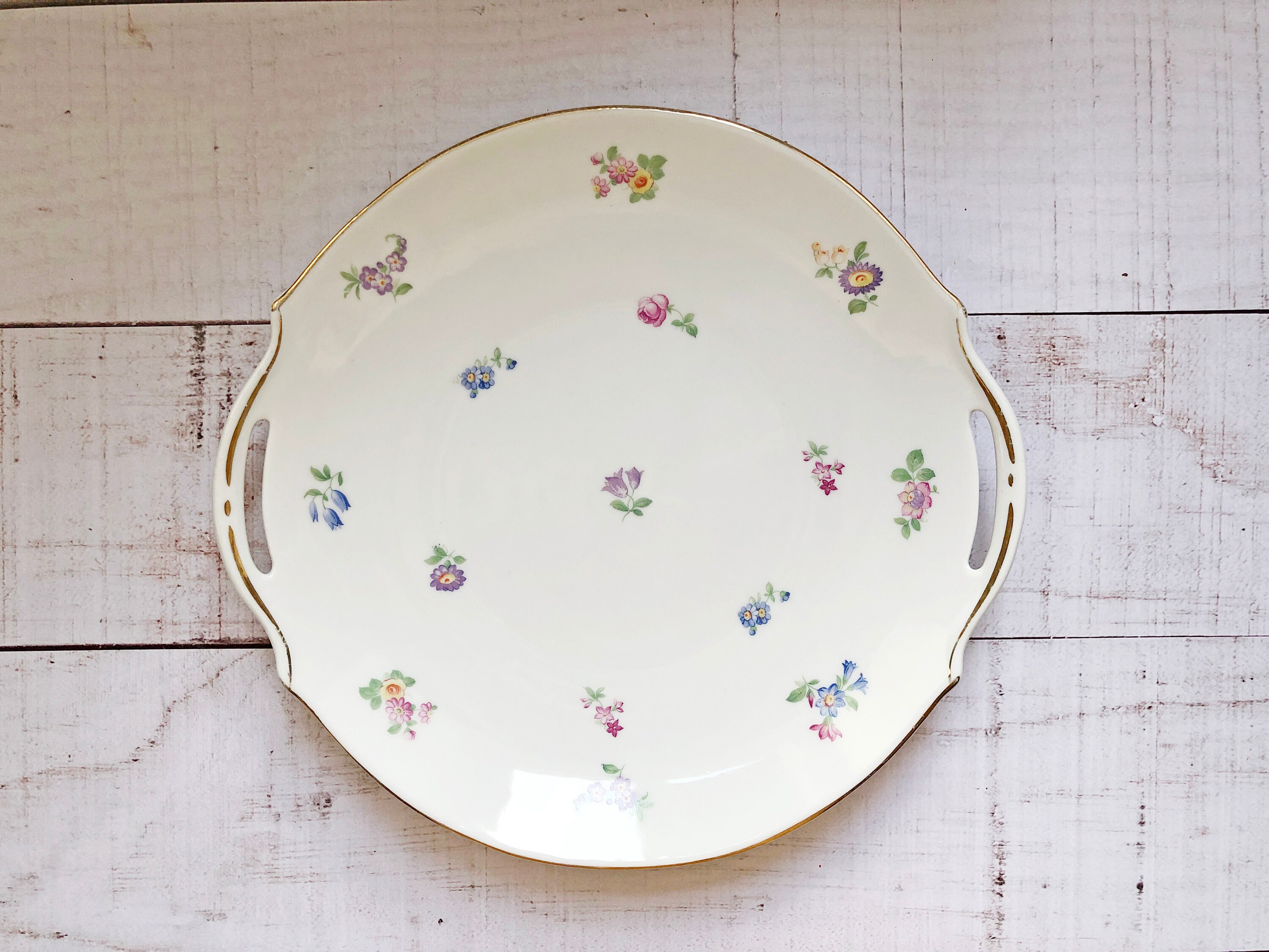 Assiette de Service en Porcelaine Made in France Floral Thème Fleurs Français Céramique Photographie