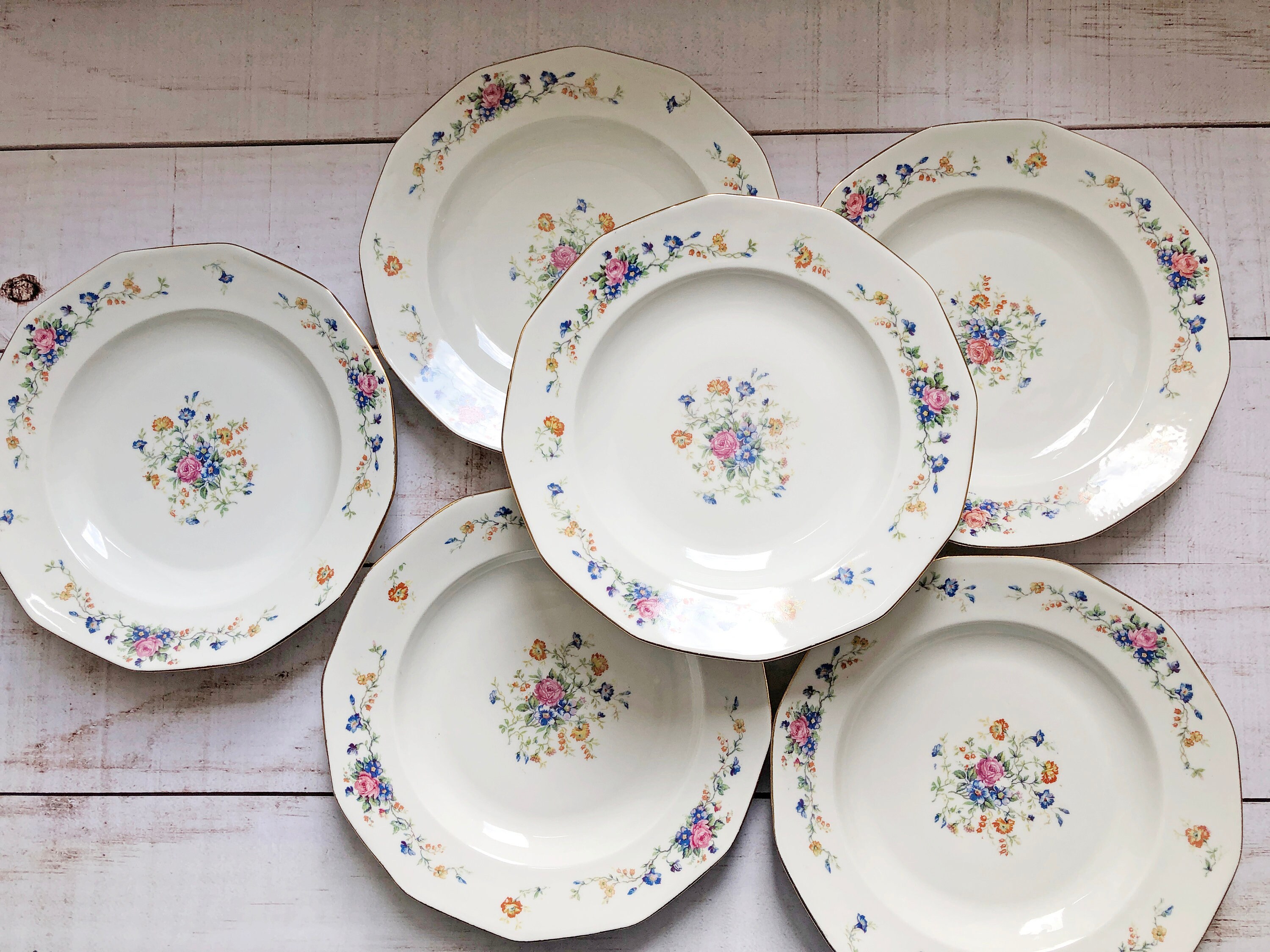 Lot de 6 Assiettes Massé &surget France Porcelaine Français Céramique Thème Floral