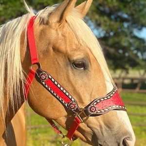 Pode incluir: Um cavalo usando um cabresto de nylon vermelho com focinheira e peças laterais de couro marrom escuro. O couro apresenta um detalhe vermelho texturizado, bordas costuradas em branco e três conchos circulares prateados com centros vermelhos e cristais.