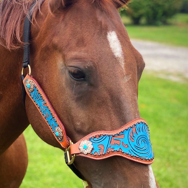 Turquoise Scroll Bronc Halter