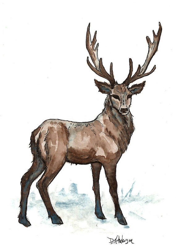 Stag Deer Woodland Art Print Hunter Gift - Etsy