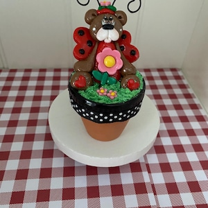 May include: A brown teddy bear dressed as a ladybug sits in a small terracotta pot with green grass and pink flowers. The pot has a black ribbon with white polka dots around the top.