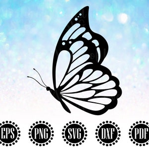 May include: A black silhouette of a butterfly with intricate wing patterns against a blue and white sparkly background.