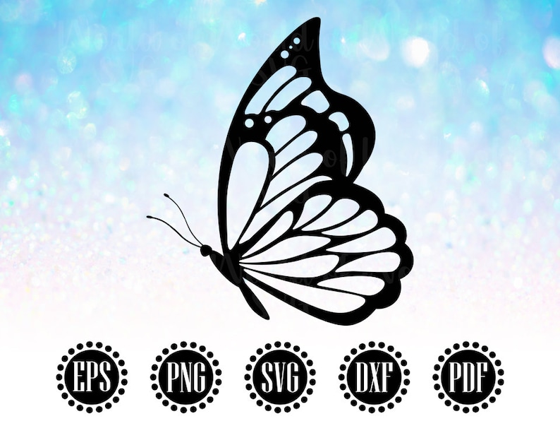 May include: A black silhouette of a butterfly with intricate wing patterns against a blue and white sparkly background.