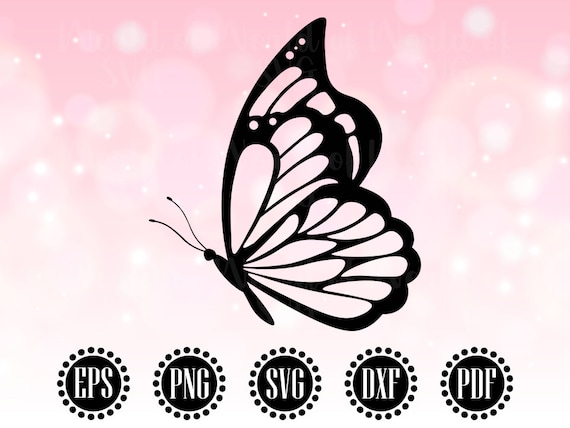 Butterfly SVG, Butterfly SVG Cricut, Butterfly SVG File, Butterfly png, Butterfly Clipart, Butterfly Stencil, Butterflies Silhouette - WS146