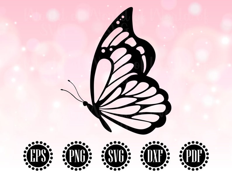 May include: A black silhouette of a butterfly with intricate wing details against a pink background.