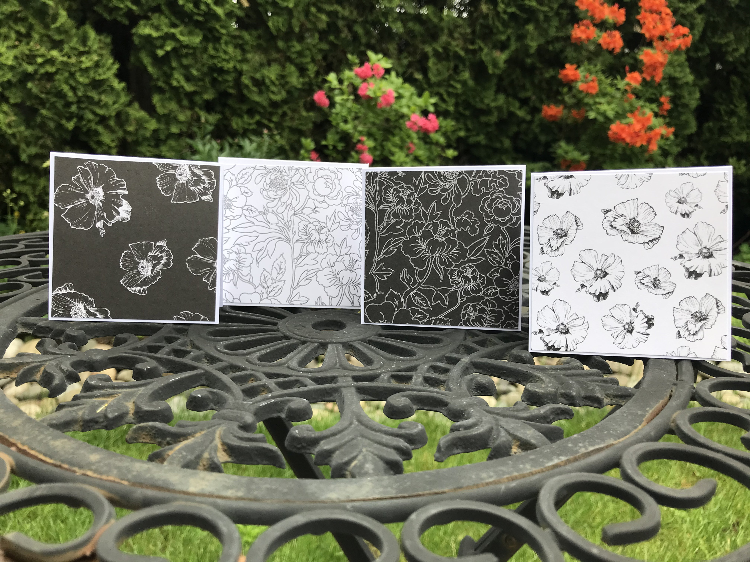 Buy Black Andwhite Note Cards Mini Note Cards Floral Note Card Online