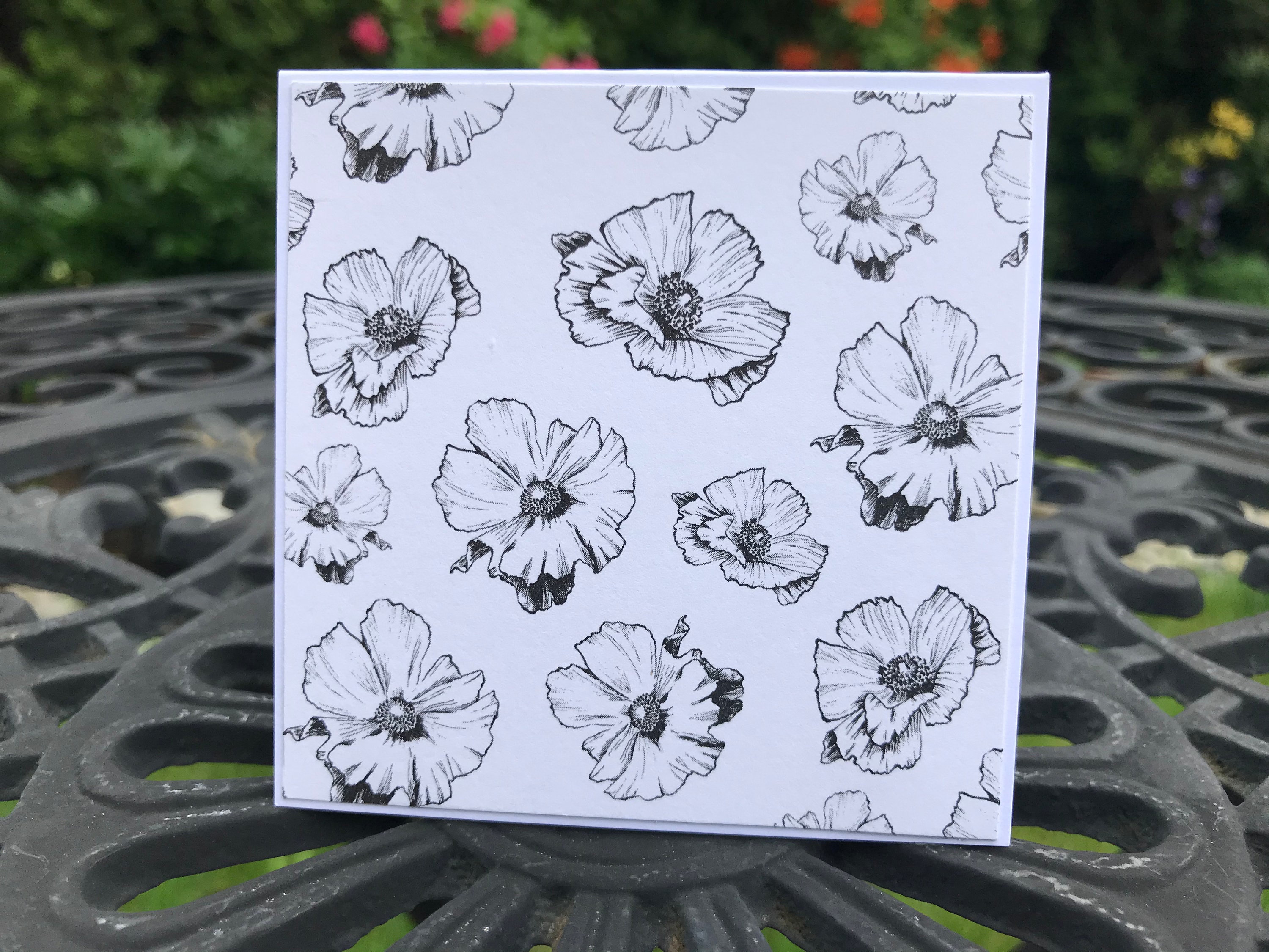 Buy Black Andwhite Note Cards Mini Note Cards Floral Note Card Online