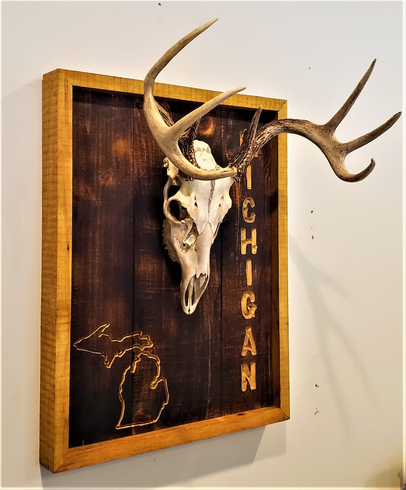European Mount Plaque Deer Plaque Antler Wall hanging Etsy