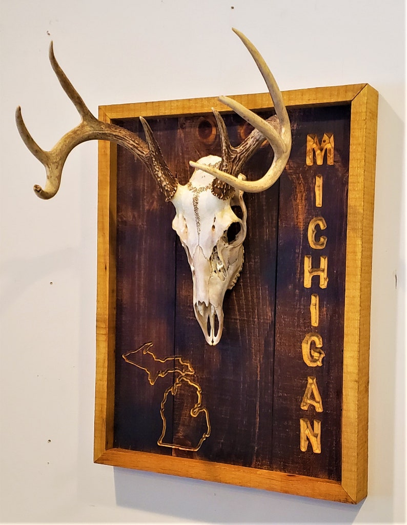 European Mount Plaque Deer Plaque Antler Wall hanging Etsy