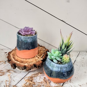 May include: Two small terracotta pots with a dark blue glaze. The pots are filled with succulents and are sitting on a wooden slice. The pots are on a white wooden surface.