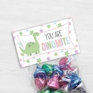 printable dino-mite dinosaur treat bag toppers instant download