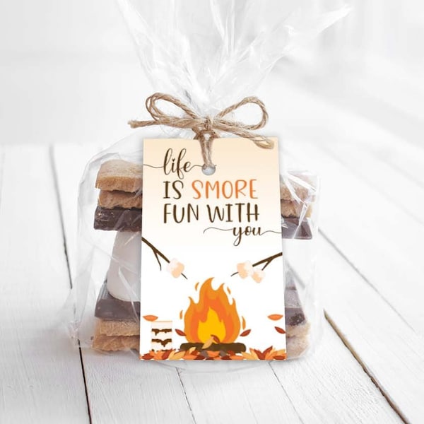 Printable Smore Gift Tags, Life Is Smore Fun With You Gift Tag or Bag Topper, Halloween Autumn Printable Campfire Gift Tags Download