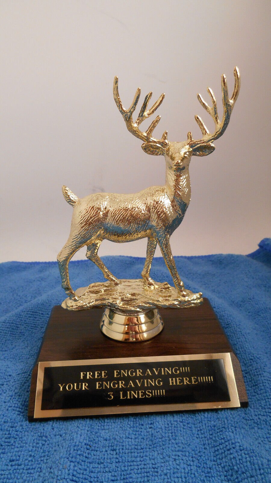 P*u様 蝦夷鹿hunting trophy （deer skull） P*u様 蝦夷鹿hunting trophy （deer skull）