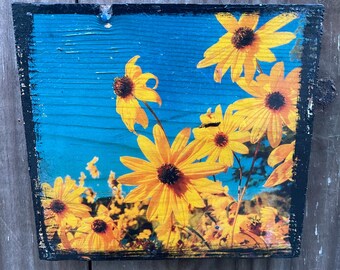 Black eyed Susan ~5x5” on Wood