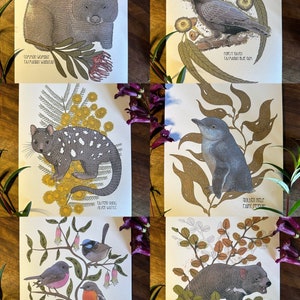 Native Tasmanian Flora and Fauna Art prints